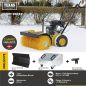 Preview: TEXAS Handy Sweep 690TG 3in1 212ccm Kehrmaschine Benzin mit Schneeschild 60cm 