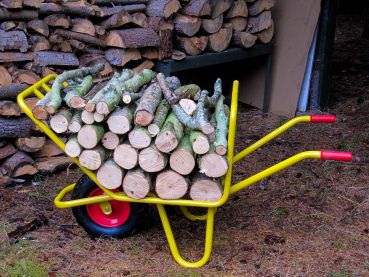 RAVENDO FWT 200 kg Brennholzkarre Holzkarre Transportkarre für Feuerholz Scheite 