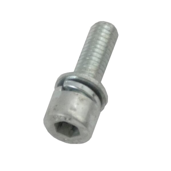 MATRIX Ersatzteil Schraube M5 x 16 für Benzin Freischneider PGT 4 in 1-2