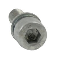 MATRIX Ersatzteil Schraube M5 x 16 für Benzin...
