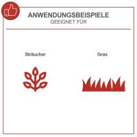 Scheppach Grasschere Strauchschere Akku Rasenschere...