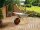 RAVENDO Marken Schubkarre Gartenschubkarre Vollgummireifen 100Liter 150Kg gelb