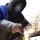 GÜDE Plasmaschneider Plasma Cutter Plasmaschneidgerät GPS-E 40 A.2  230V