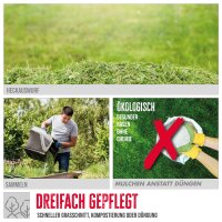 GÜDE Benzin Rasenmäher Mäher 42 cm Schnittbreite Radantrieb ECO WHEELER 413.3 R