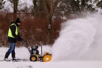 TEXAS Handy Sweep 690TG 3in1 212ccm Kehrmaschine Benzin mit Schneeschild 60cm