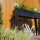SIENA GARDEN Hochbeet Slim, 98 x 25 x 82 cm anthrazit, Metall pulverbeschichtet