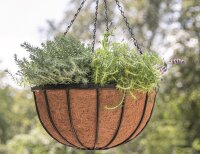 SIENA GARDEN Hängeampel Wrought mit Kokoseinlage, 35 cm