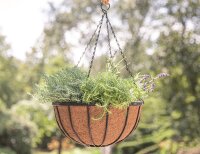SIENA GARDEN Hängeampel Wrought mit Kokoseinlage, 35 cm
