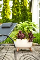SIENA GARDEN ECO Gefäß Oslo 40cm beige Kst./Holzf., Ø40 x 25cm
