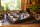 SIENA GARDEN Gewächsha.XXL 52x42x23 cm inkl. Deckel