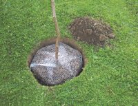 SIENA GARDEN Wühlmauskorb verz. 60cm Ø Höhe 70cm, ausfaltbar