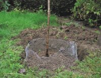 SIENA GARDEN Wühlmauskorb verz. 60cm Ø Höhe 70cm, ausfaltbar