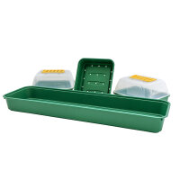 SIENA GARDEN Zimmergewächshaus 3er Set