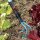 GARDENA combisystem-Grubber 9 cm