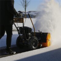 TEXAS Combi 800B 5in1 Benzin Kehrmaschine Schneeräumer Laubsammler Schneefräse