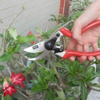 SIENA GARDEN Premium Alu-Bypassschere Ergo-Griffe. 21,5 cm