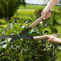 GARDENA Heckenschere NatureCut