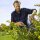 GARDENA Heckenschere NatureCut