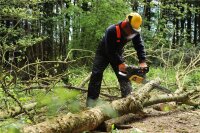 TEXAS CSZ5800 Profi Akku Kettensäge 58V Säge 45cm Schwert ohne Akku und Ladegerät