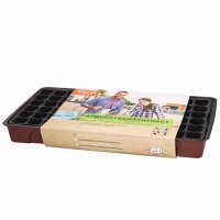SIENA GARDEN Anzuchthaus XL 545x280x65 mm mit Topfplatte...
