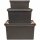 ORTHEX PROFI-Box 32 l schwarz SmartStore Pro 31