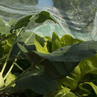 SIENA GARDEN Insektennetz 5 x 2 m im Tragebeutel mit Etikett