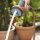 GARDENA Comfort Multibrause
