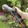 GARDENA Comfort Brause empfindl. Pflanzen Pflanzen