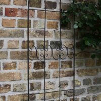 SIENA GARDEN Rankgitter Lilie, Metall dunkelgrau, unterverzinkt 45 x 160 cm