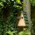 CJWILDLIFE Nistkasten Aspen 28 mm Maße: 12,1x16x29,2 cm, Kiefernholz