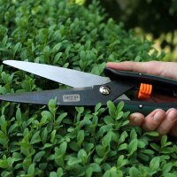 SIENA GARDEN Formschnitt- und Schafschere CB2120 Länge: 27 cm