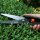 SIENA GARDEN Formschnitt- und Schafschere CB2120 Länge: 27 cm