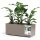 EURO3PLAST Kasten GREENER KEBE 100 cm taupe