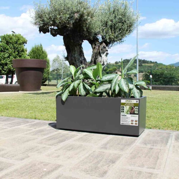 EURO3PLAST Kasten GREENER KEBE 100 cm anthrazit