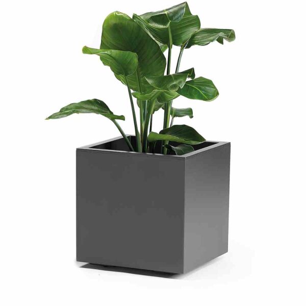 EURO3PLAST Kübel GREENER KEBE 40 cm anthrazit