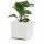 EURO3PLAST Kübel GREENER KEBE 40 cm weiß