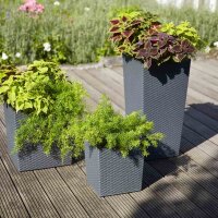 SIENA GARDEN Pflanzgefäß NIZZA Rillenoptik 35 x 35 x 68 cm mit Einsatz graphit