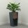 SIENA GARDEN Pflanzgefäß NIZZA Pflanzkasten Blumenkasten weiß Rillenoptik 40x40