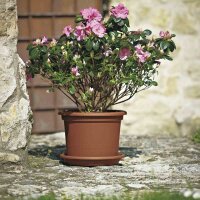 EURO3PLAST Kübel GEO Ø 55 cm terracotta