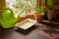 SIENA GARDEN ECO-Anzuchtschale aus Palmblatt
