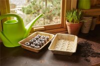 SIENA GARDEN ECO-Anzuchtschale aus Palmblatt