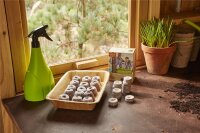 SIENA GARDEN ECO-Anzuchtschale aus Palmblatt
