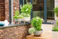 SIENA GARDEN ECO Gefäß Oslo 47cm beige Kst./Holzf., Ø47 x 26,5cm
