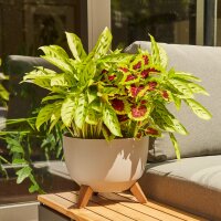SIENA GARDEN ECO Gefäß Oslo 47cm beige Kst./Holzf., Ø47 x 26,5cm