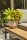 SIENA GARDEN ECO Gefäß Oslo 47cm beige Kst./Holzf., Ø47 x 26,5cm