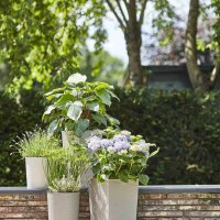SIENA GARDEN Pflanzgefäß ECO Locon, weiß, Ø 25 x 46,5 cm