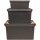 ORTHEX PROFI-Box 50 l schwarz SmartStore Pro 45