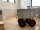 RAVENDO Plattenwagen Lasten Karre Schwerlast Wagen PU-Rad 300kg *2.Wahl*