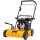 TEXAS Profi Vertikutierer Benzin Pro Cut 461TG | 48 Messer | 212ccm | 4-Takt