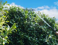 ZIPPER ZI-GPS252 Gartenpflegeset Motorsense Trimmer Heckenschere Astsäge